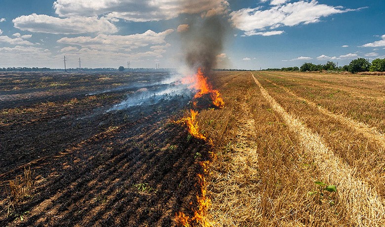Agricultural Biomass: A Potential Resource for Recycling